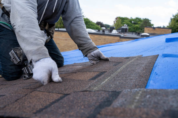 Best Roof Waterproofing Services  in Mart, TX