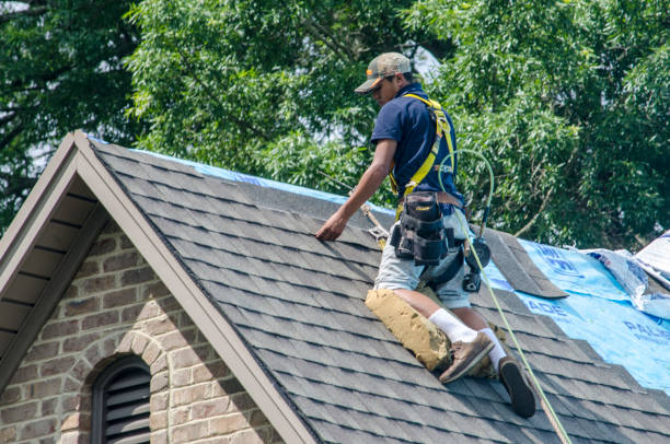 Best Shingle Roofing Installation  in Mart, TX