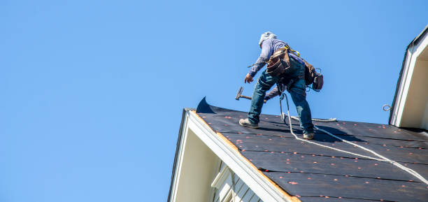 Best Roof Gutter Cleaning  in Mart, TX